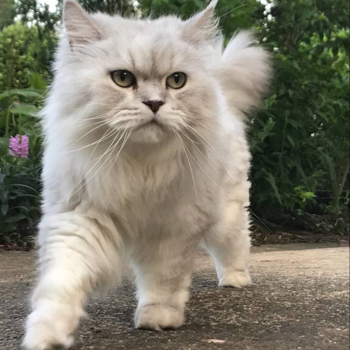 1293fbce 3c00 4ffe a6ad 59884d8667b8 1567239999617