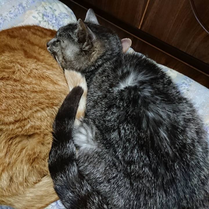 129433fe aed5 4c5e a925 77c1dfb2f4c8 1579002304391