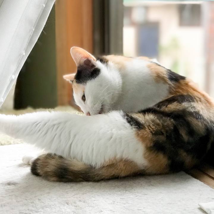 12943de1 19bb 4bf3 9d1c bd94fa257bcd 1530410207007