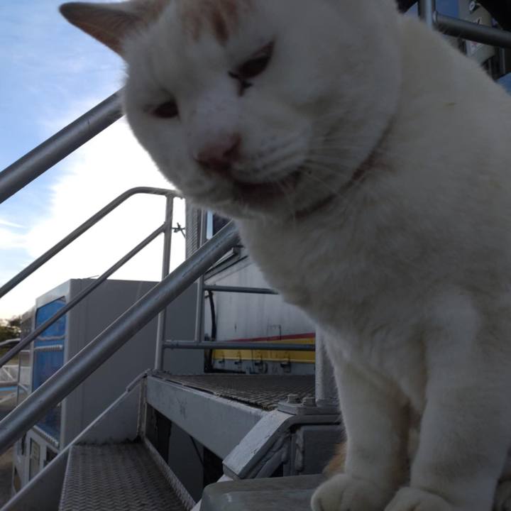 1294835a cff0 449f 96fd 08c73800368b 1762821399633