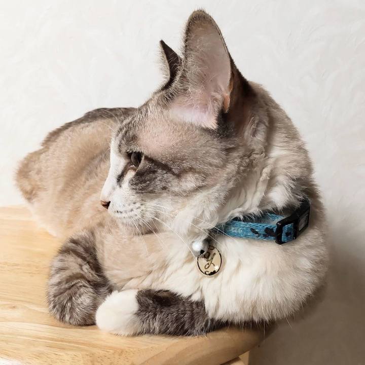 1294881e 5fb7 4a98 921f 20a08d82ae27 1665143873584