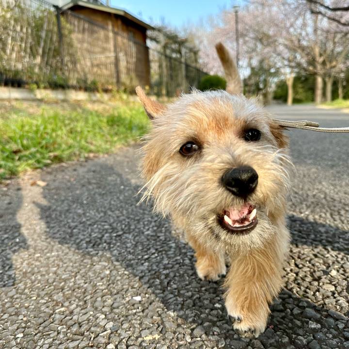 1294aa33 441b 466a a291 c7d6972ce060 1710684406630