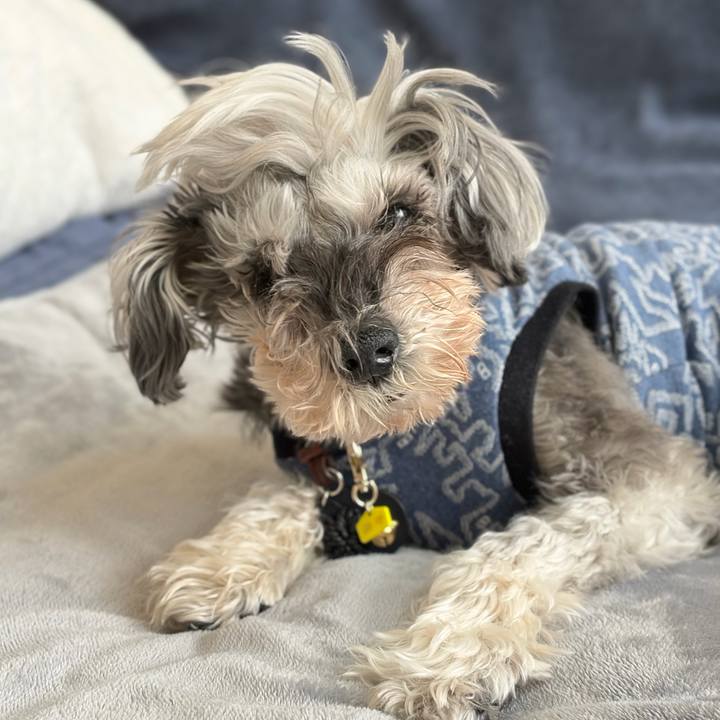 1294abc9 19d7 400f 9111 1928f47e366c 1772763736193