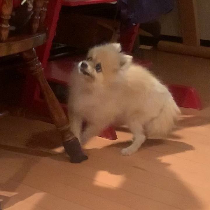 1294b2e0 c401 43fb 8aae cf2ff864c8ee 1663407155641