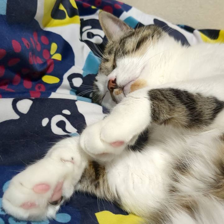 1294d2cb 9cfb 4191 ae7d f920cf70dead 1682136505686