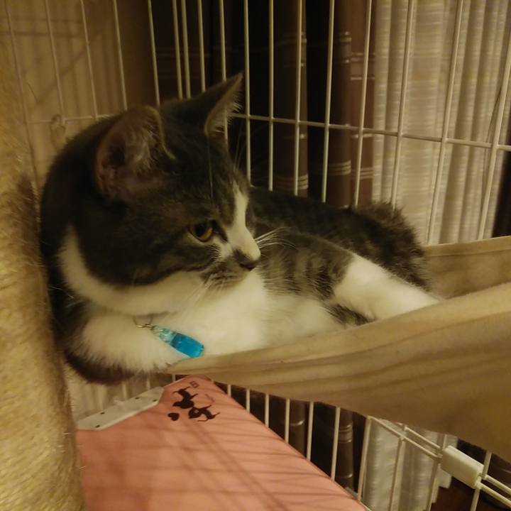 129547b2 1e05 4991 b1df 6050952e4895 1580134725425