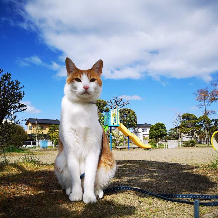 12955bf0 4cdc 4ca6 8f3d 1ccb73004b24 1556538796557