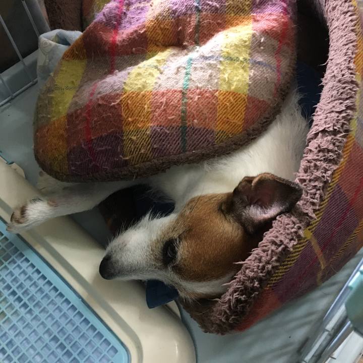 12958515 65a2 44e1 a0ec 09f499711bd3 1596757043434