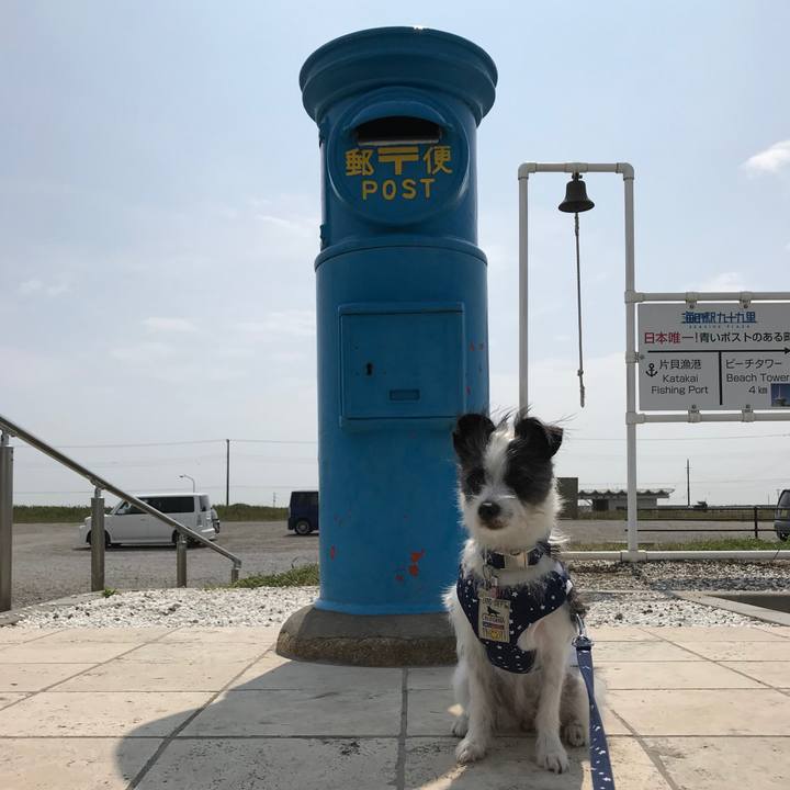 1295a146 4cfb 4156 b6c8 755f2c7c9bd7 1535451965376