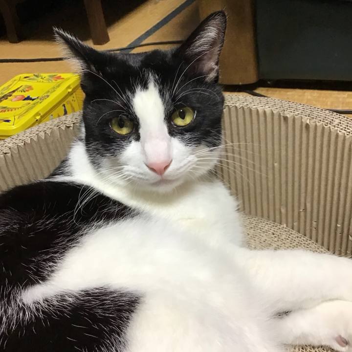 1295a8f3 3bbb 48eb bb8c fac4d5d151cf 1699085858476