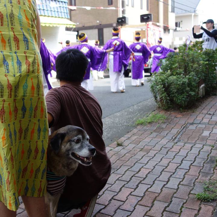 1295af89 4c1c 44be a22a bc213f09897a 1566711942860