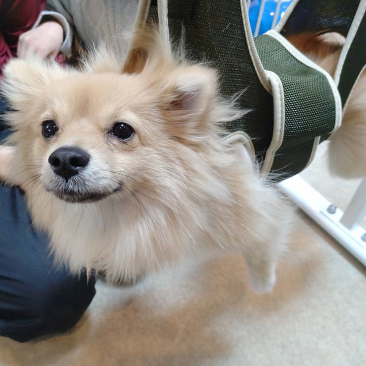 1295c837 e665 4321 b666 daba037bc9a0 1738282284533