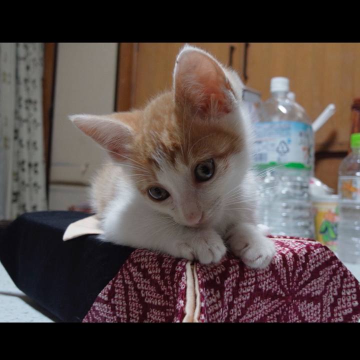 1295d326 d5ff 4ec7 b058 676997a064eb 1516282877023