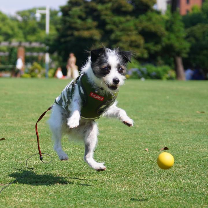 12960b37 de8c 4a56 be6e bc751b11aa5d 1561460910087