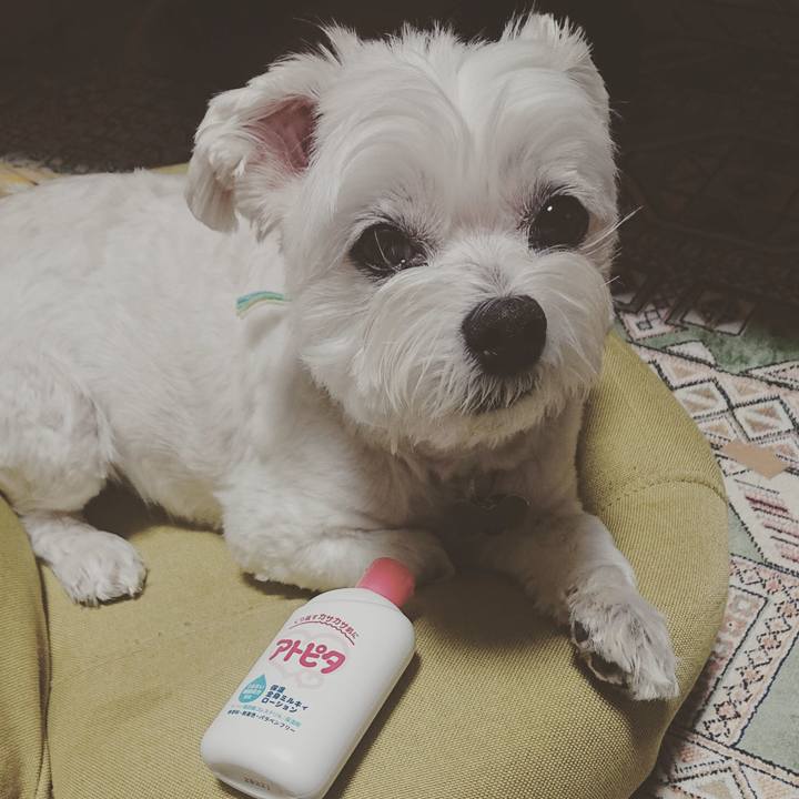 12962182 cb48 4e4d b336 d3a63648a510 1632662914533