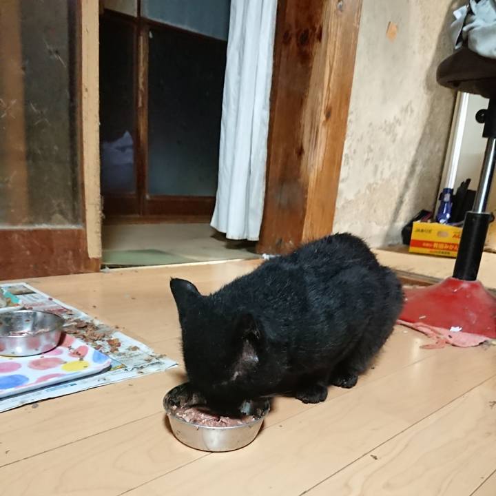 1296470f 9c4e 40a3 acd7 fc71616c7685 1661602254032