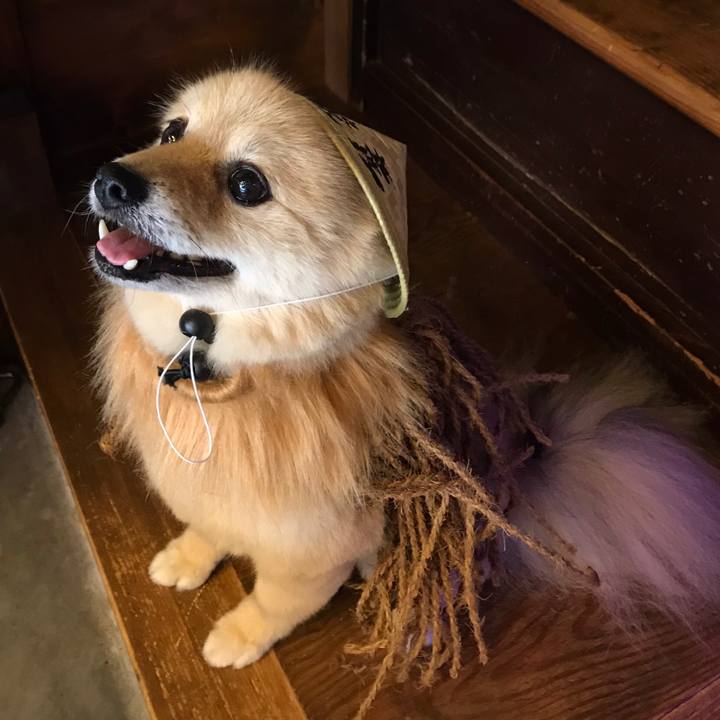 12966c13 65c5 4882 b609 dfca6cbd978b 1635561736964