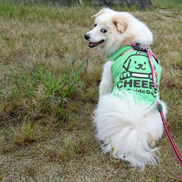 129687ec b3cb 484f afad 2e731378f83a 1538105096920