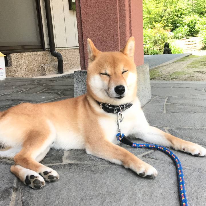 129690ff e21f 4dab aba6 12b73f87aa19 1526269317468