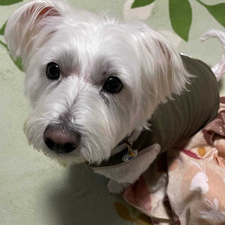 129691af 9320 4c26 aef6 014a3ab8ad34 1667695430335