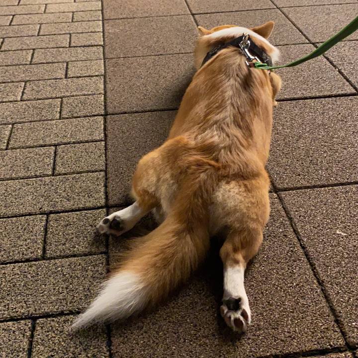 1296ad2d ca48 4a56 94b5 c45773abf814 1631700515371