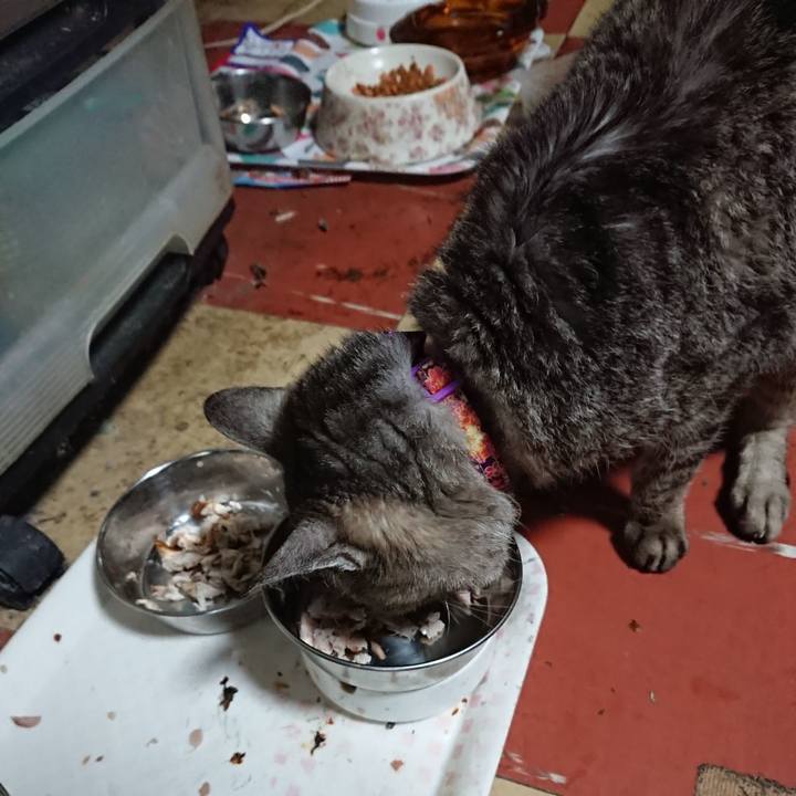 1296cbff c92c 445a 909f 835ead213ef3 1594331242822