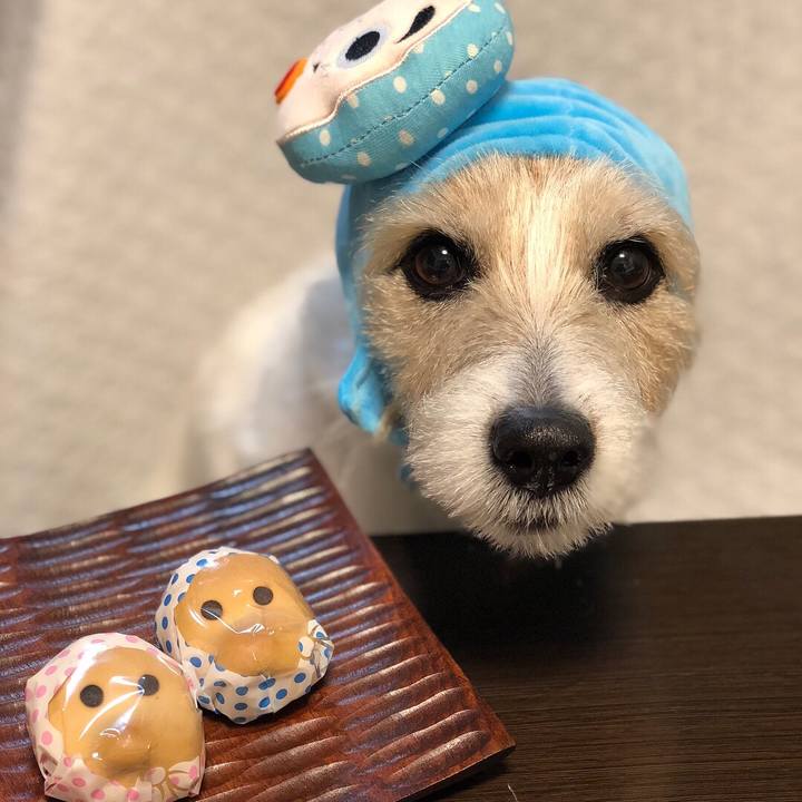 1296e074 d8c1 4afb 8249 2d099e701ff4 1527728411827