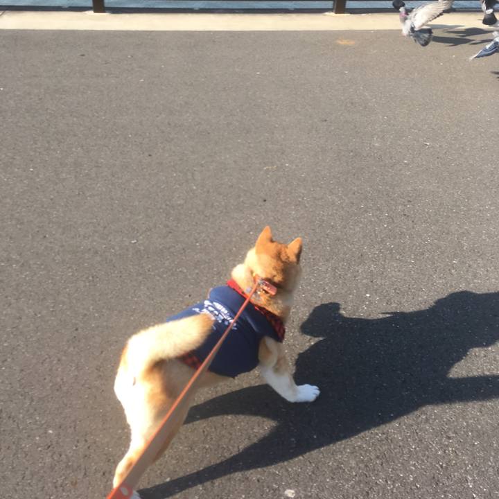 129705d0 7a09 401b a218 2f017187c3e8 1546929092052