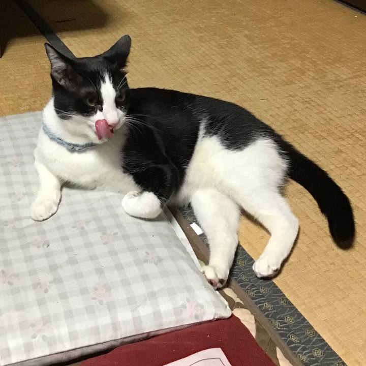 12972f68 14a8 47b0 95ae ea883b9928fb 1664441700708