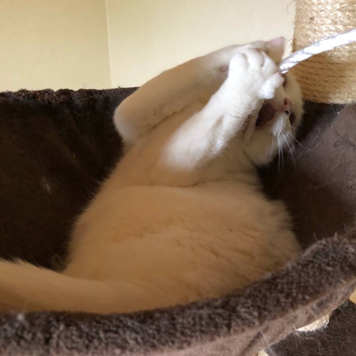 12972f98 795c 4c62 8449 2b11bbe8bda4 1559445398723