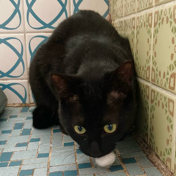 12973fb9 e93c 4ca8 89bc ba4e8210ac77 1655009112958