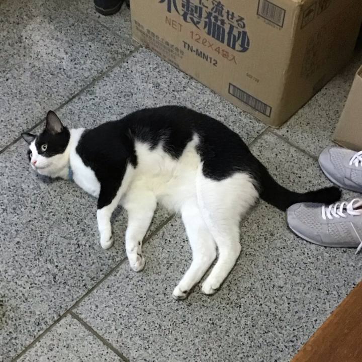 1297729e 6b4a 4848 b1b0 d373939d581a 1758615973305