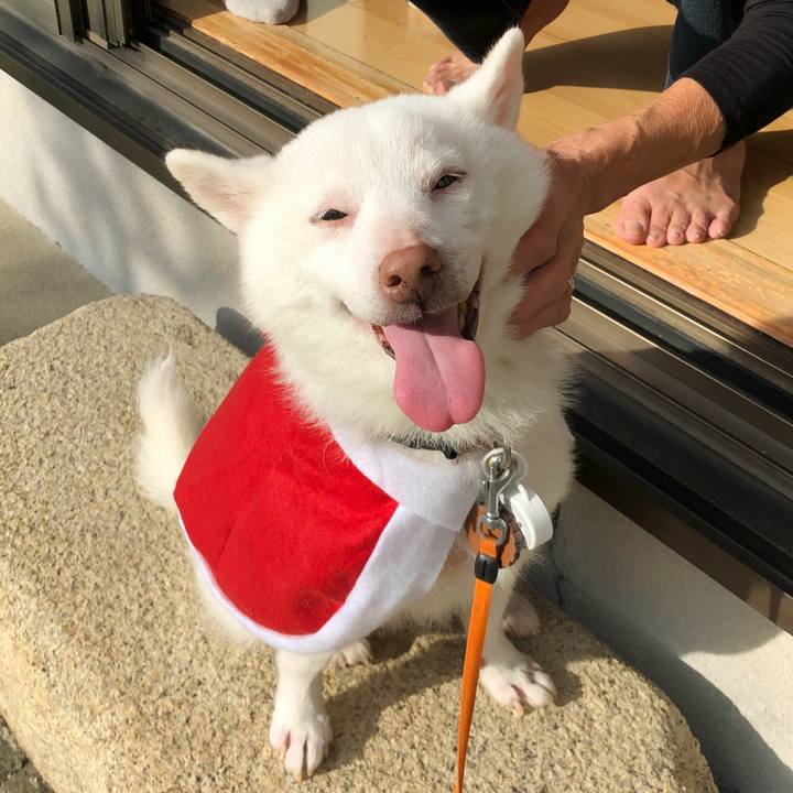 12978a29 9c11 4f0c b99e 43fc3f6fdf34 1577169643808