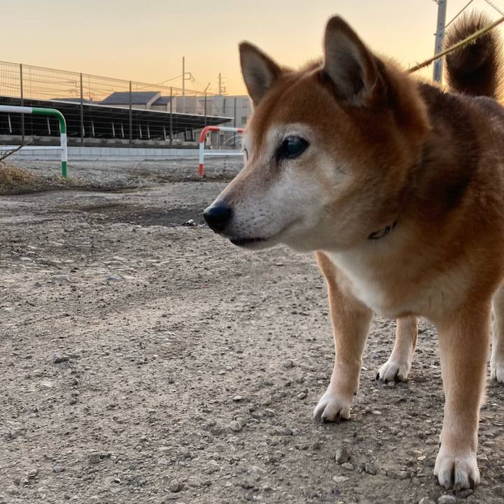 12979801 fdc3 4a5e 8c78 94dd7801984b 1642322851316