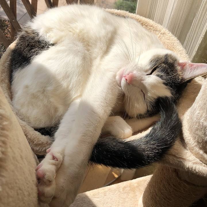 1297abef 26ff 4889 818e 13eee7e1f403 1643860604372