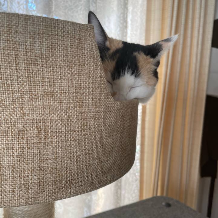 1297ee66 9233 4e09 9bc6 052d312c9c70 1669514539774