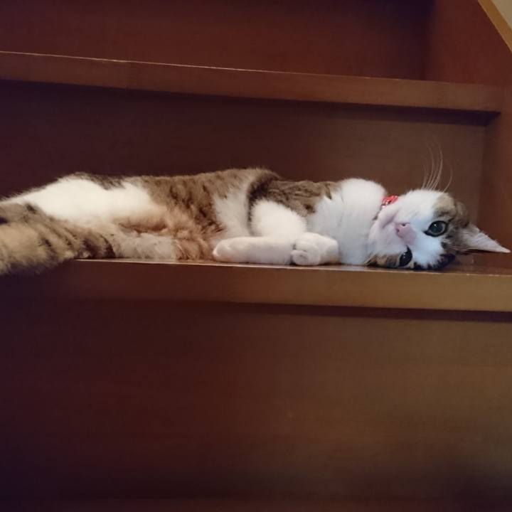 129800ed 0ec5 47e1 a653 f43cd37561ac 1590842700169