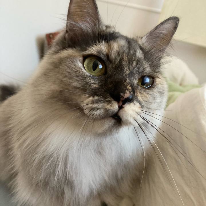 12984169 0950 4428 b131 7b9458522d67 1763775192268