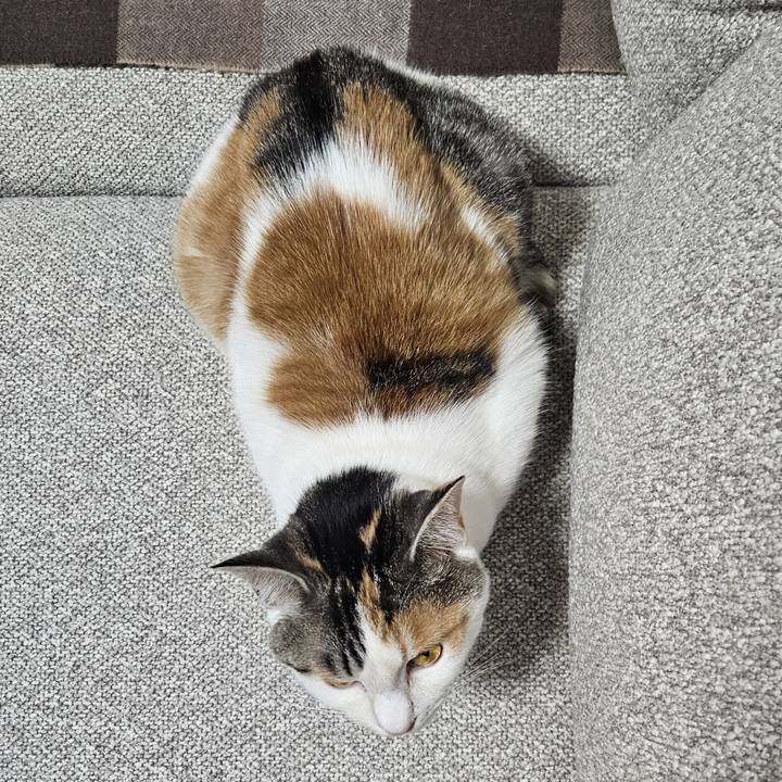 12985be5 cebb 49d6 8fe2 21db5b17102a 1766735221441