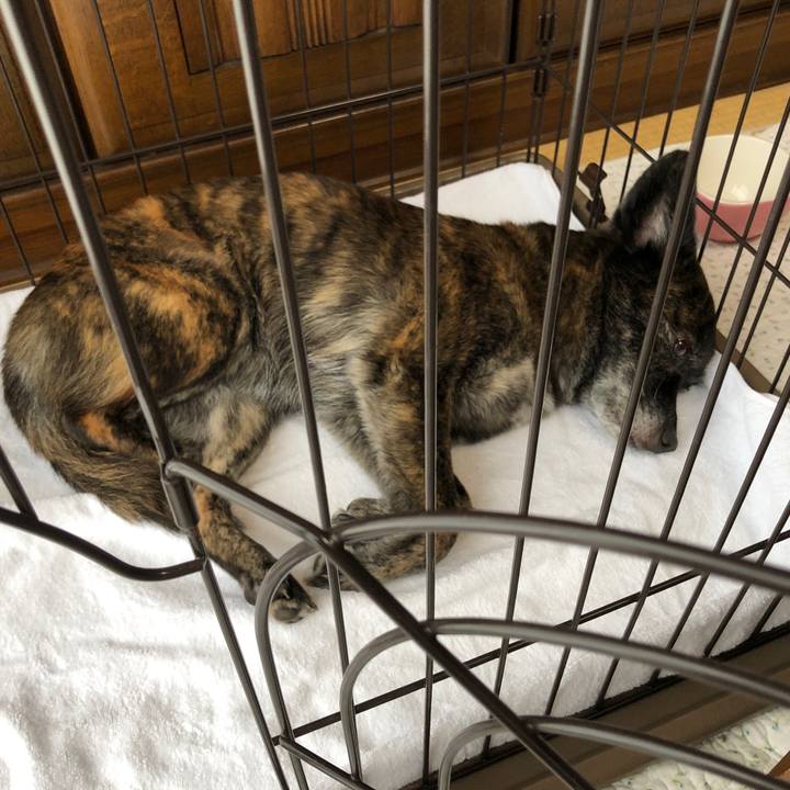 129887e1 7b16 4fe1 afdd 514264e3b148 1564981043460