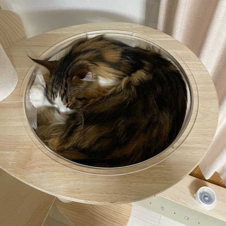 1298abbd dda7 4ddd 87b0 63738efe5eed 1671573605282