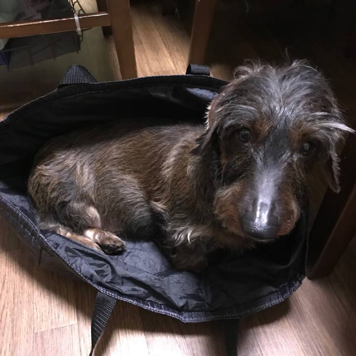 1298da0b 3fdf 4abf b389 868efda8a195 1550849734080