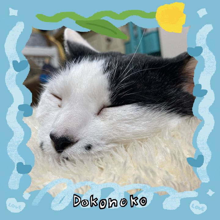 12991edf 3ff6 4e9b 915d 56933fe97f7c 1771852922005