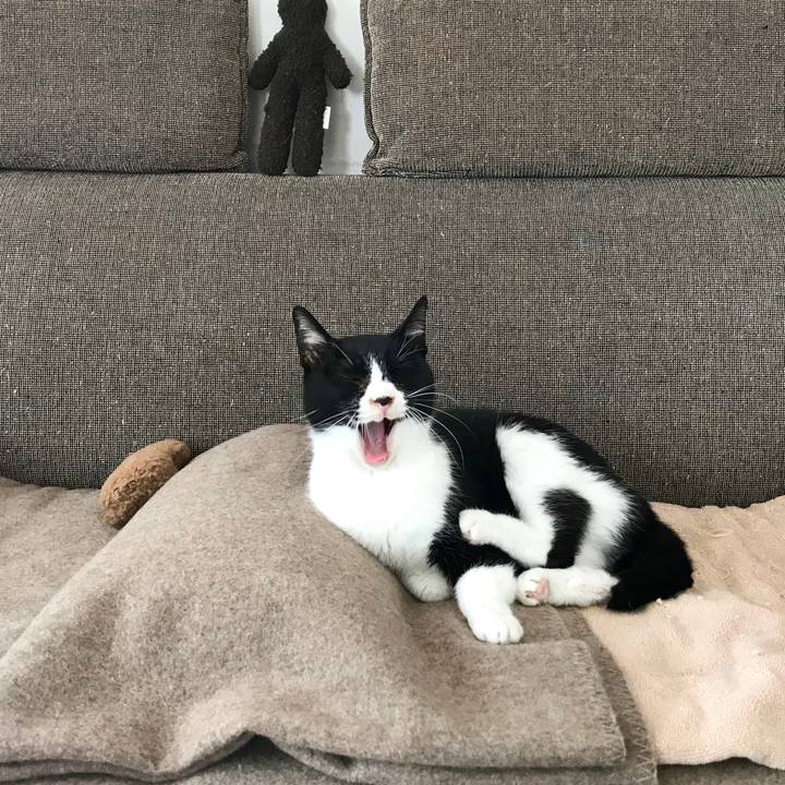 129987e7 66f5 4d40 87c9 48952ac24255 1514789161773