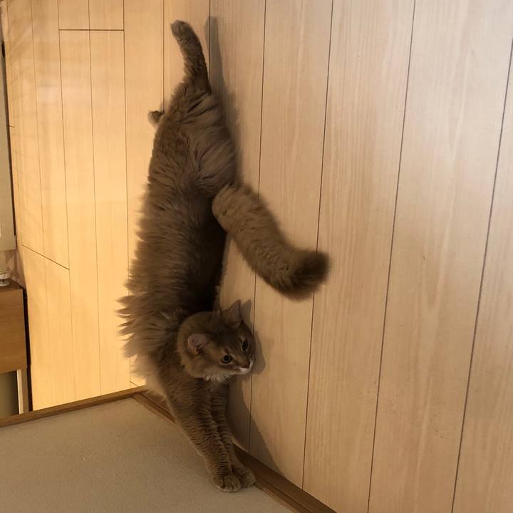 12999c5f 6bc7 4888 b9ac 425abe8d8153 1590363722843