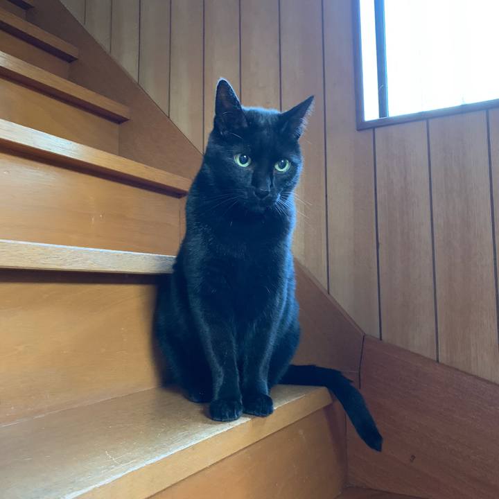 1299c4ef eeb9 4826 8722 e422bfcba8c0 1547082682644