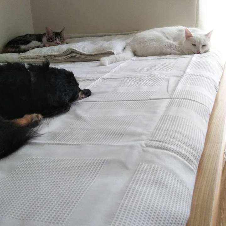 1299e1fb 91d4 4d69 a977 b3a8bffefa63 1629783954579