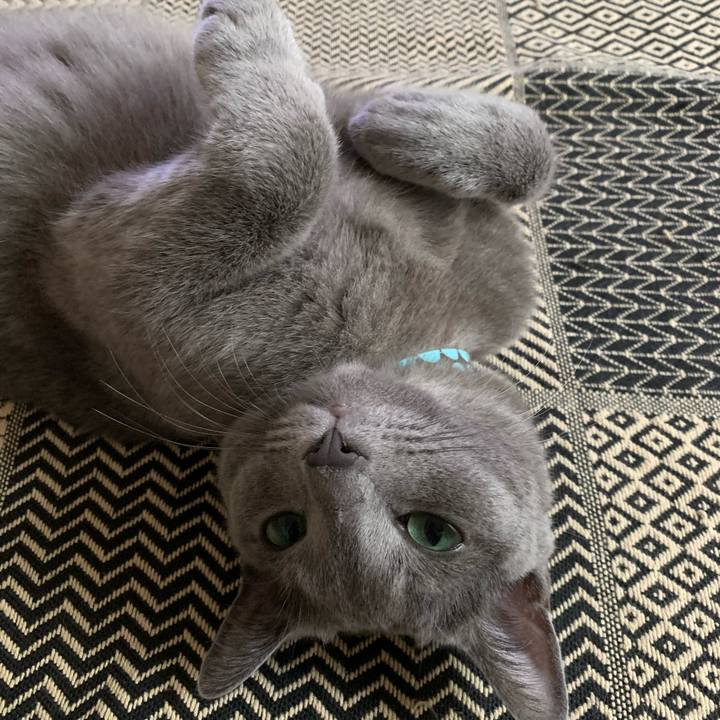 1299f7ab c92d 4848 84a7 45f1801fbfc5 1600293195307