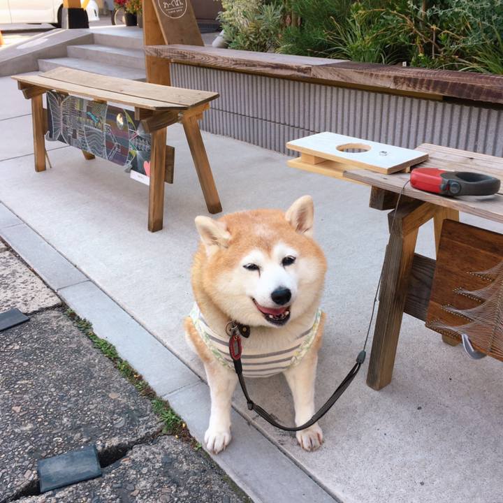 129a14d6 92f6 4115 aee5 84da9ed90d71 1589003188646