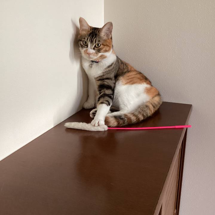 129a24d8 11ea 4360 987e 5e62218242f8 1654046695438